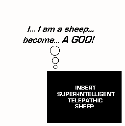 The Cornersheep
