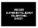 The Cornersheep